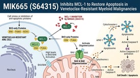 MIK665 (S64315) Inhibits MCL-1 to Restore Apoptosis in Venetoclax-Resistant Myeloid Malignancies