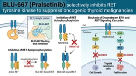 BLU-667 from Selleck selectively inhibits RET tyrosine kinase to suppress oncogenic thyroid malignancies