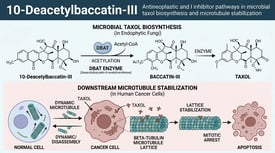 10-Deacetylbaccatin-III Antineoplastic and I inhibitor pathways in microbial taxol biosynthesis and microtubule stabilization