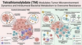 Tetrathiomolybdate (TM) Modulates Tumor Microenvironment Dynamics and Intratumoral Bacterial Metabolism to Overcome Resistance